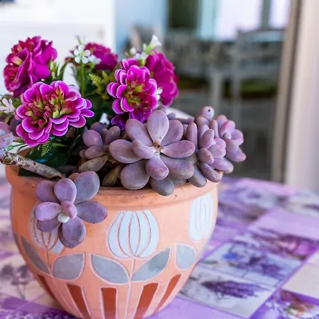 Casetta Bel Tramonto * Magazzini (Tuscany)