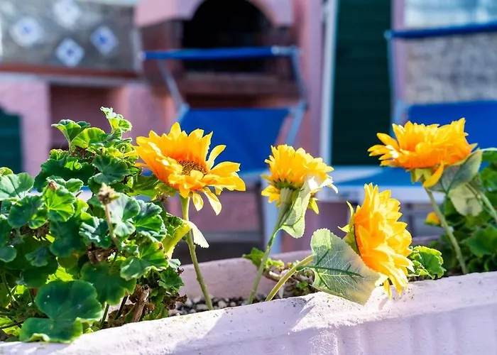 Casetta Bel Tramonto Magazzini (Tuscany)